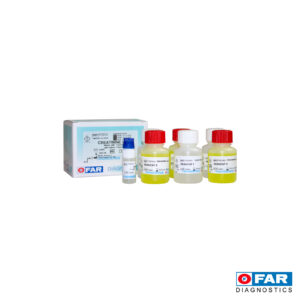 CREATININA LIQUIDA 6X25ML. 150 DET.