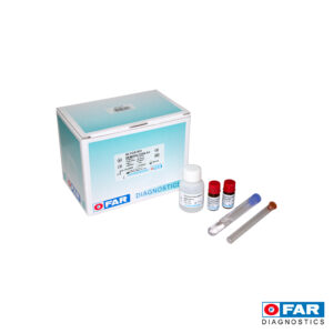 HEMOGLOBINA GLICOSILADA A1 40 TEST